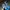 Adidas Luxury Sneakers Pria Blue