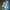 Adidas Luxury Sneakers Pria blue photo 2