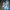 Adidas Luxury Sneakers Pria Blue