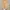 8seconds Avant Garde Cardigan Wanita white yellow photo 1