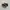 Nike Casual Sneakers Pria white brown photo 1