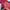 MLB Vintage Varsity Jacket Pria Burgundy