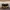 Fendi Luxury Wallet Pria yellow black photo 1