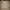 Adidas Casual Casual shoe Pria tan gray photo 4