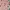 Uniqlo Y2K Crop Top Wanita Pink