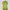 Luxury Minimalist Bodycon Dress Wanita Green Yellow