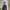 Sportswear Windbreaker Pria navy black photo 1