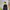Sportswear Windbreaker Pria navy black photo 2