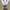 Sportswear Windbreaker Pria white gray photo 5