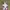 Sportswear Windbreaker Pria white gray photo 6