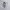 New Balance Casual Sneakers Wanita gray photo 2