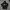 Nike Casual Hoody Pria white black photo 2