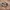 Nike Casual Sneakers Pria tan brown photo 1