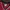 Reebok Streetwear Sportswear Jersey Pria gold red photo 6