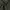 Japanese brand Minimalist Casual Casual pants Pria green photo 4