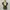 Sisley Vintage Y2K Vest Wanita Multicolor