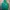 Hollister Streetwear Casual Hoody Pria Green