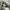 Nike Skater Sneakers Pria gray photo 4