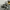 Nike Skater Sneakers Pria gray photo 1