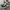 Nike Streetwear Skater Sneakers Pria white black photo 4