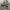 Nike Streetwear Skater Sneakers Pria white black photo 1