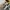 Nike Streetwear Skater Sneakers Pria white black photo 3