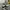 Nike Streetwear Skater Sneakers Pria white black photo 2