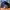 Asics Streetwear Sportswear Sweatpants & Joggers Pria navy photo 6