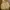 Minimalist Harrington jacket Pria yellow photo 1