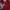 Lolita Coquette Prom dress Wanita red photo 2