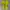 Y2K Lolita T-shirt Wanita green yellow photo 6