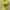 Y2K Lolita T-shirt Wanita green yellow photo 2
