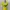 Y2K Lolita T-shirt Wanita Green Yellow