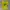 Y2K Lolita T-shirt Wanita green yellow photo 3