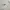 Adidas Y2K Sportswear Jersey Pria white yellow photo 4