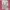Paul Frank Y2K Coquette Fur coat Wanita pink photo 6