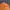 Streetwear Sportswear Sweater Kids orange photo 2