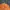 Streetwear Sportswear Sweater Kids Orange