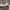 Adidas Sportswear Sneakers Pria white gray photo 6