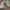 Adidas Sportswear Sneakers Pria white gray photo 5