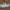 Adidas Streetwear Skater Sneakers Pria white gray photo 1