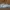 Adidas Streetwear Skater Sneakers Pria white gray photo 3