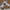 Adidas Streetwear Skater Sneakers Pria white gray photo 5