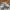 Adidas Streetwear Skater Sneakers Pria white gray photo 4