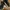 Adidas Sportswear Sneakers Pria black photo 3