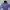 KIRSH Casual Hoody Pria purple blue photo 1