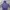 KIRSH Casual Hoody Pria purple blue photo 6