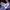 KIRSH Casual Hoody Pria purple blue photo 3