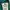 Sportswear Jersey Pria green photo 3