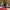 Adidas Streetwear Skater Sneakers Pria gray photo 4